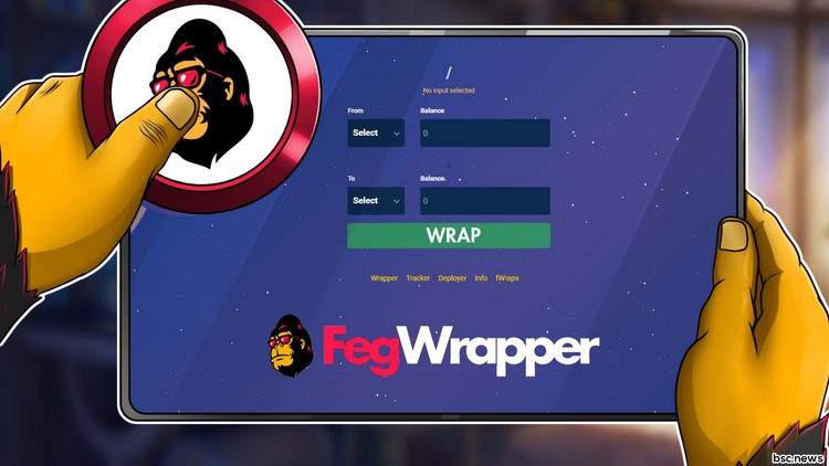 کاربردهای شبکه ارز فگ