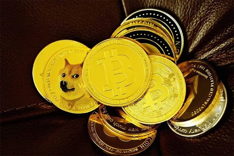 ارز دیجیتال بیت کوین و دوج کوین چه تفاوتی دارند؟ شباهت اصلی دوج کوین و بیت کوین