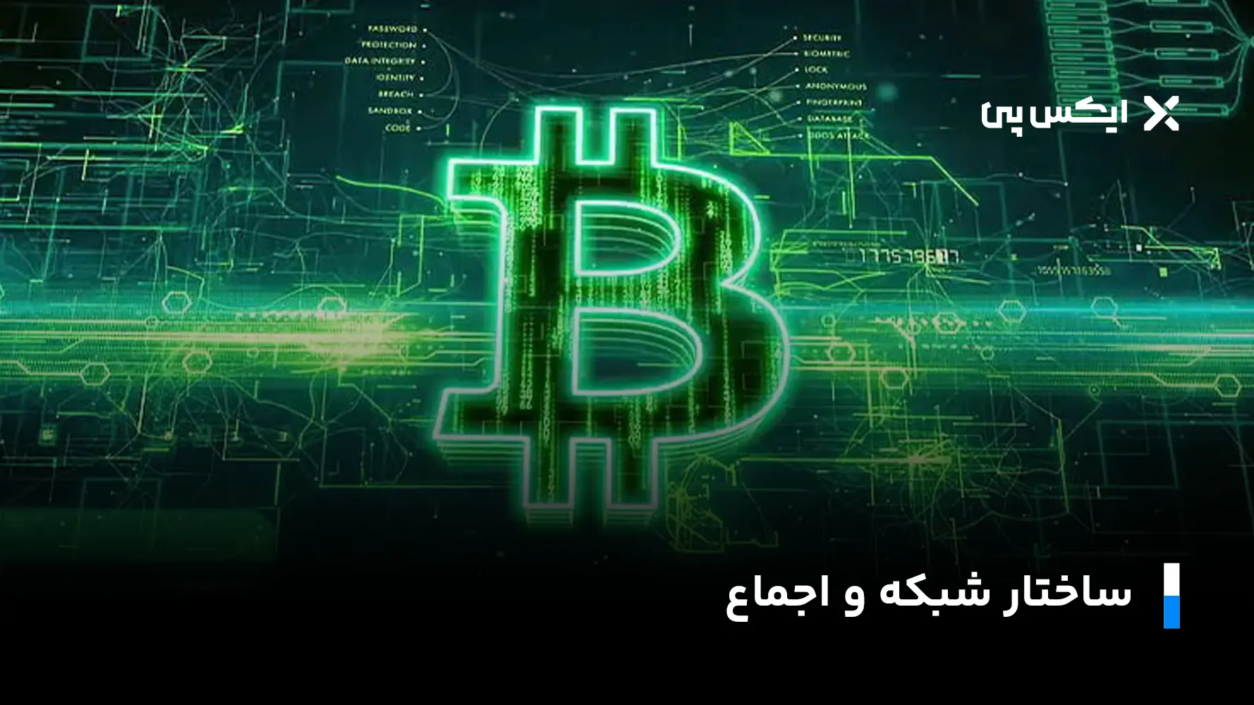 ساختار شبکه و اجماع