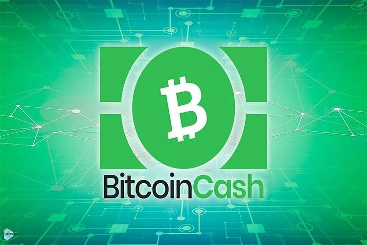 بیتکوین کش (Bitcoin Cash) چیست؟ چگونه آن را استخراج میکنید؟ انواع کیف پولهای سختافزاری محبوب
