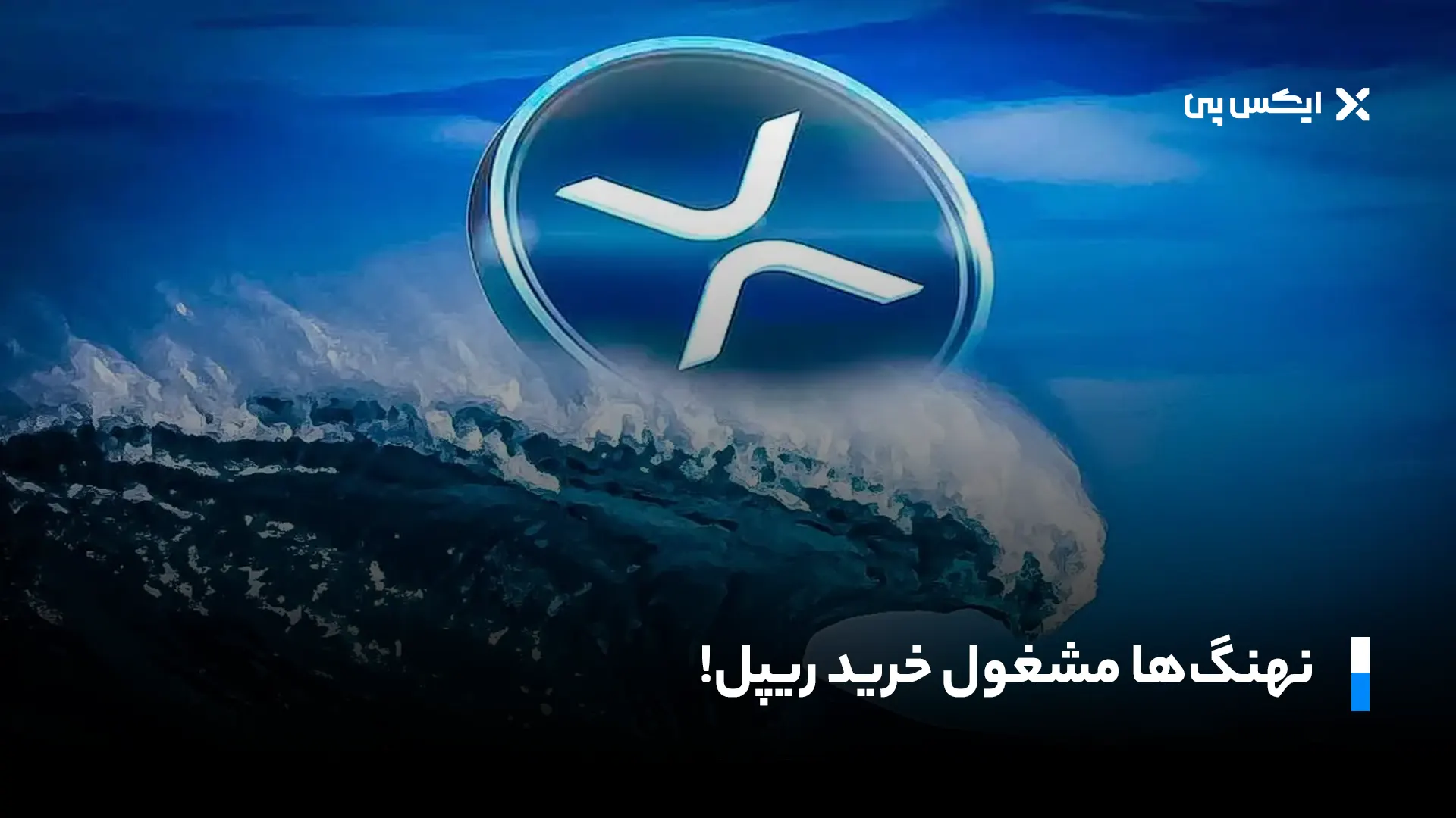 نهنگ‌ها مشغول خرید ریپل!